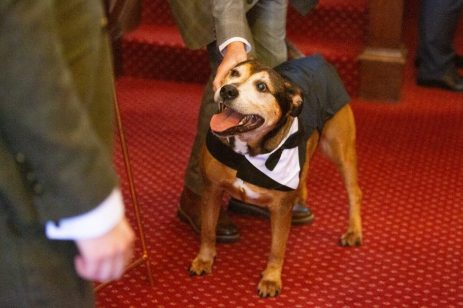 bagden hall wedding, halloween wedding, vegan wedding, quirky wedding, black bridesmaid dresses, katie byram photography, barnard castle wedding