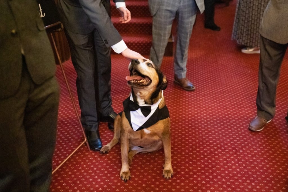 bagden hall wedding, halloween wedding, vegan wedding, quirky wedding, black bridesmaid dresses, katie byram photography, barnard castle wedding